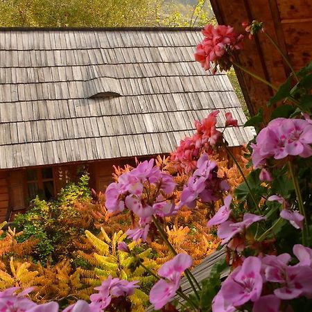 Woodenhouse Maramures วีเชวเดสซุส ภายนอก รูปภาพ