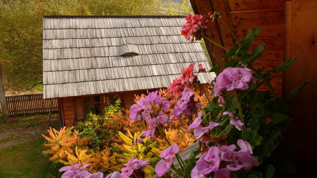 Woodenhouse Maramures วีเชวเดสซุส ภายนอก รูปภาพ