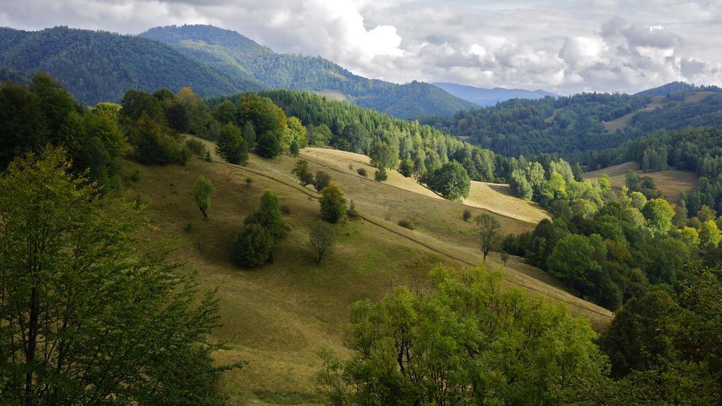 Woodenhouse Maramures วีเชวเดสซุส ภายนอก รูปภาพ