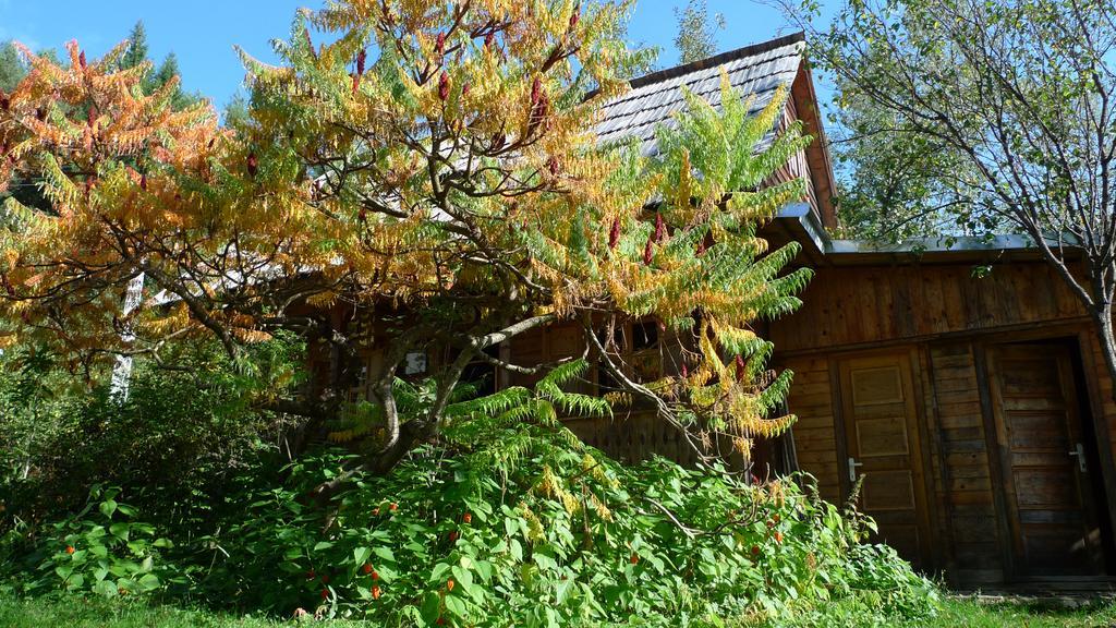 Woodenhouse Maramures วีเชวเดสซุส ภายนอก รูปภาพ