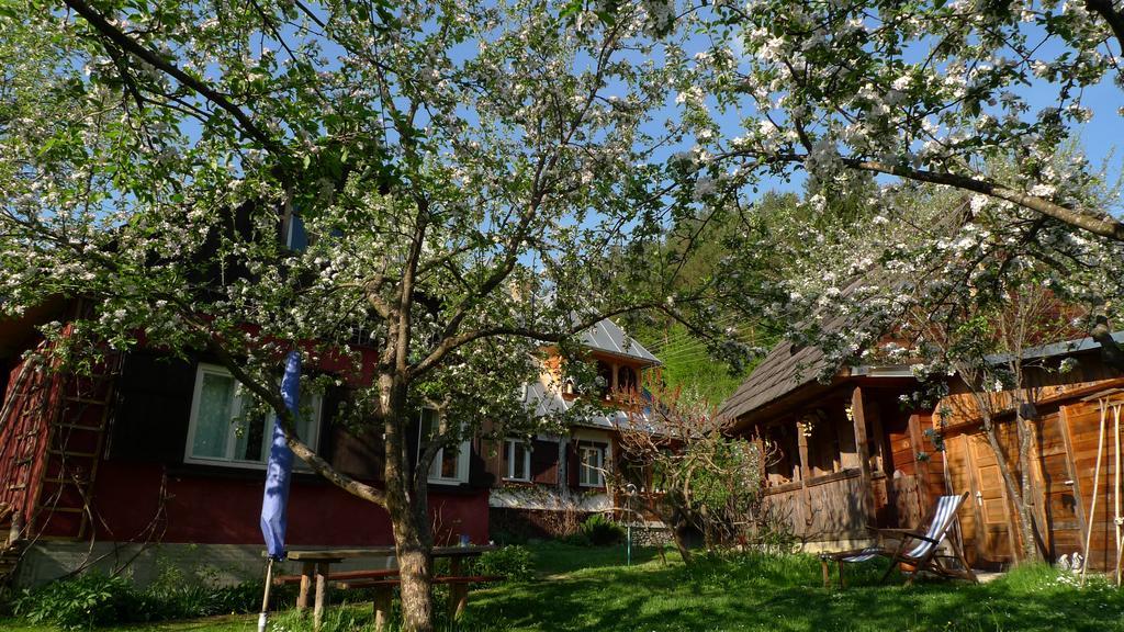 Woodenhouse Maramures วีเชวเดสซุส ภายนอก รูปภาพ