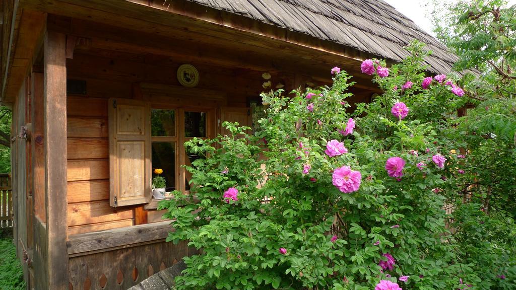 Woodenhouse Maramures วีเชวเดสซุส ภายนอก รูปภาพ